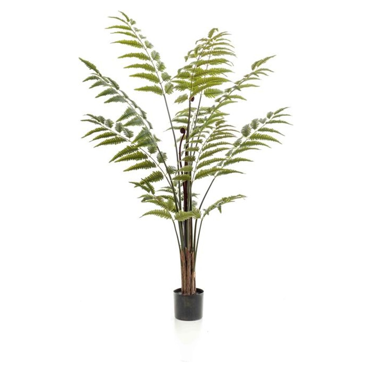 Bregne i potte, 150cm, kunstig plante - Brøndsholm