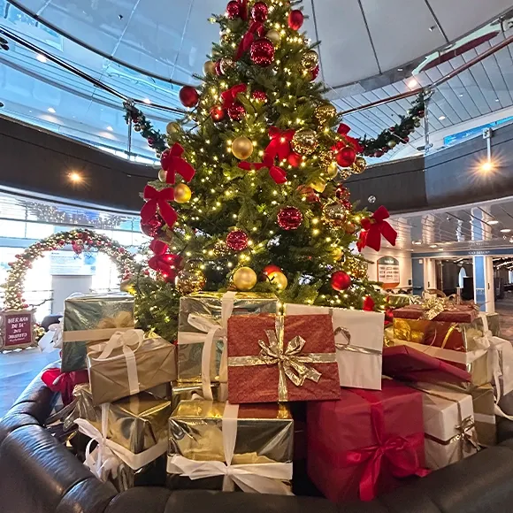 Brøndsholm - Go Nordic Cruiseline Juledekorationer