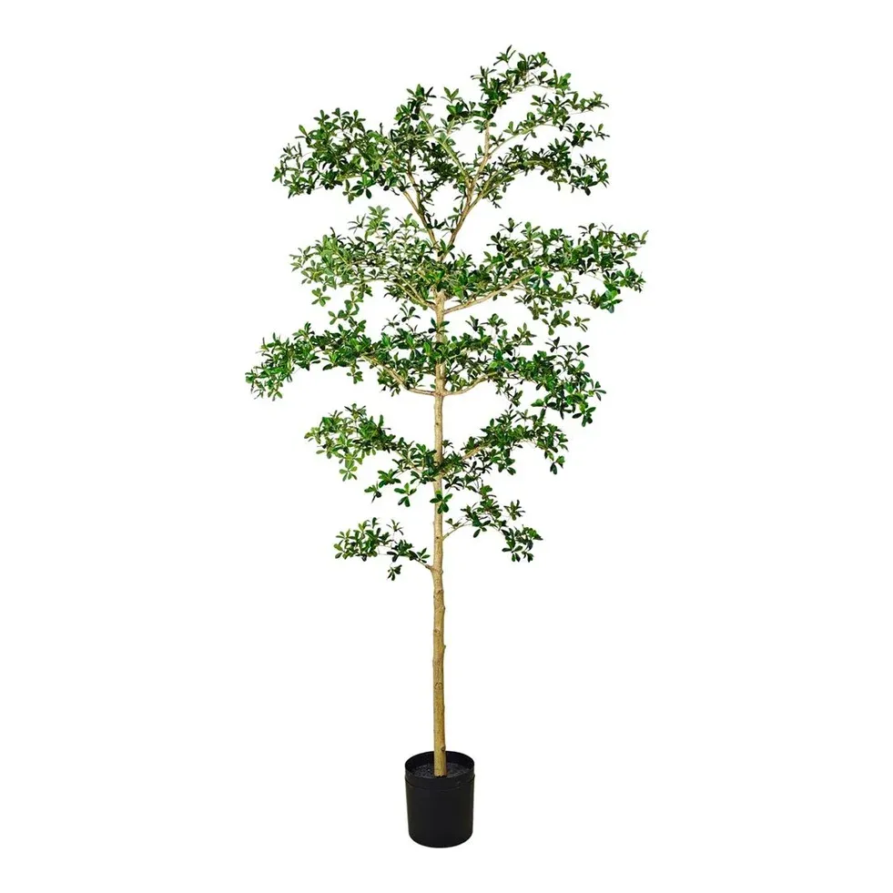 Bucida træ, deluxe, 240cm, kunstig plante - Brøndsholm