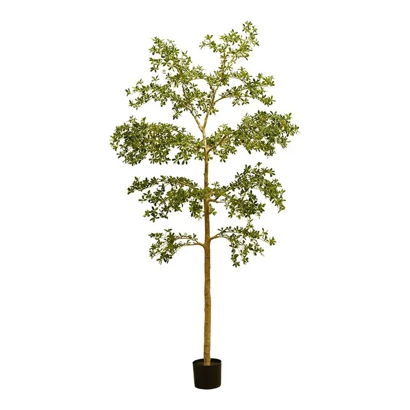 Bucida træ, deluxe, 290cm, kunstig plante - Brøndsholm