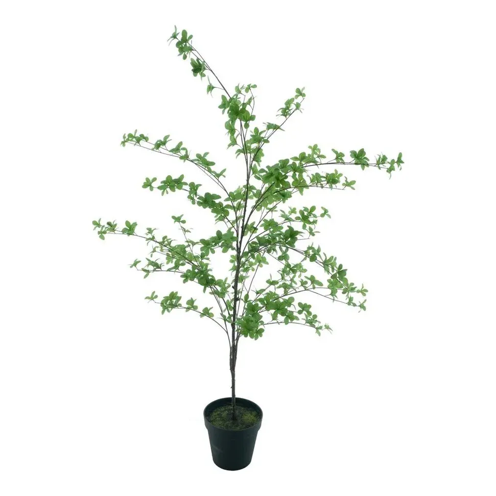 Bucida træ i potte, 173cm, grøn, kunstig plante – Brøndsholm