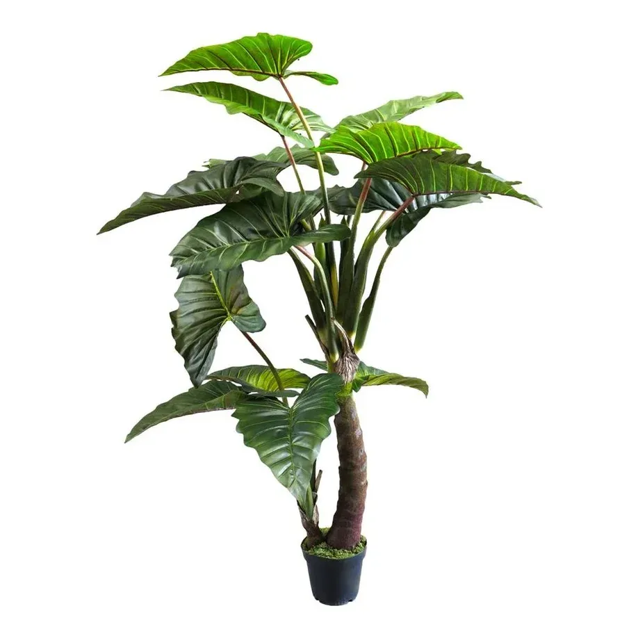 Caladium i potte, 220cm, grøn, kunstig plante – Brøndsholm