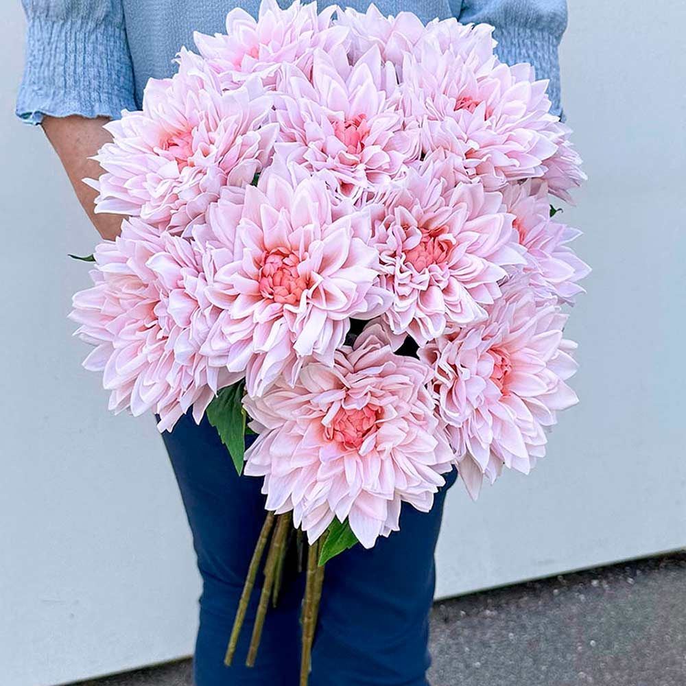 Brøndsholm - kunstig dahlia