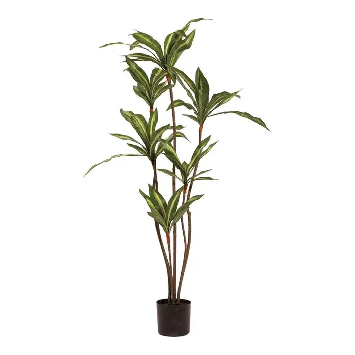 Dracaena i potte, 115cm, kunstig plante – Brøndsholm