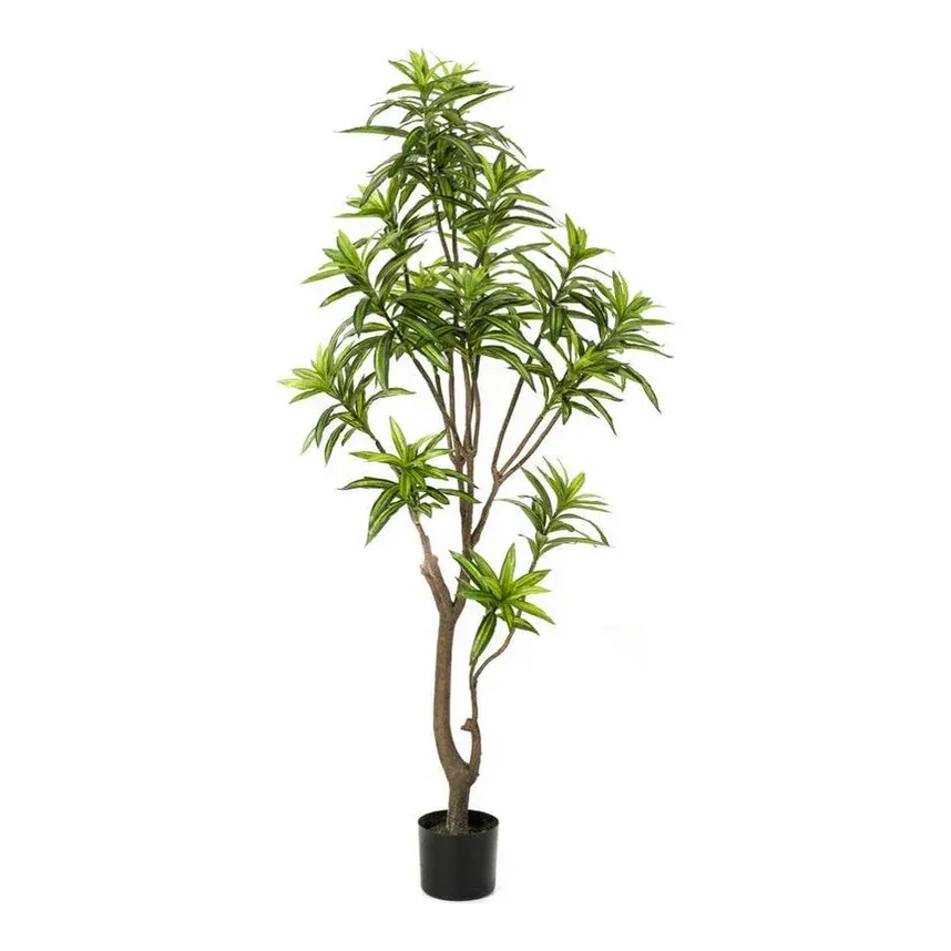 Dracaena i potte, 155cm, kunstig plante – Brøndsholm