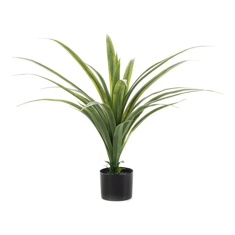 Dracaena i potte, 80cm, UV, kunstig plante – Brøndsholm