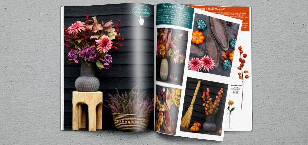 Efterårsmagasin 2025