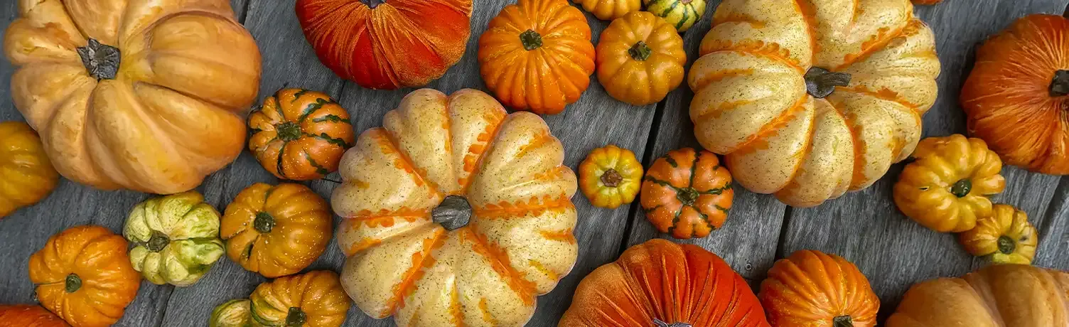 Brøndsholm - efterår - kunstige græskar