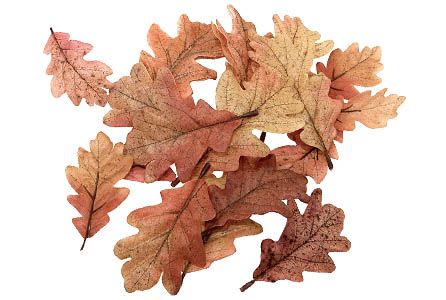 kunstige efterårsblade i brændte farver