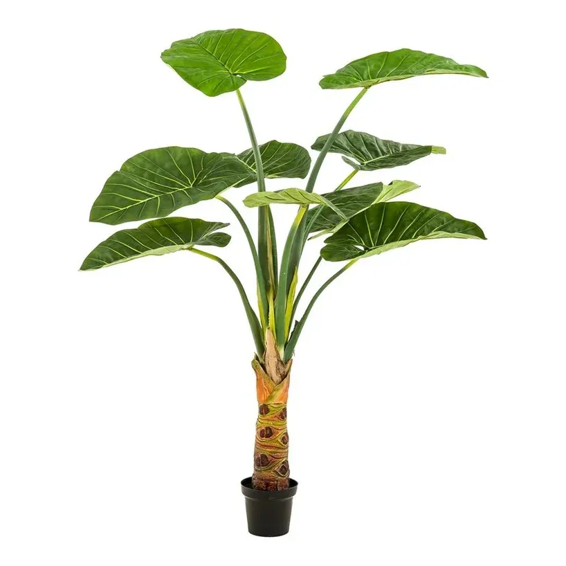 Elefantøre, Alocasia, 160cm, kunstig plante - Brøndsholm