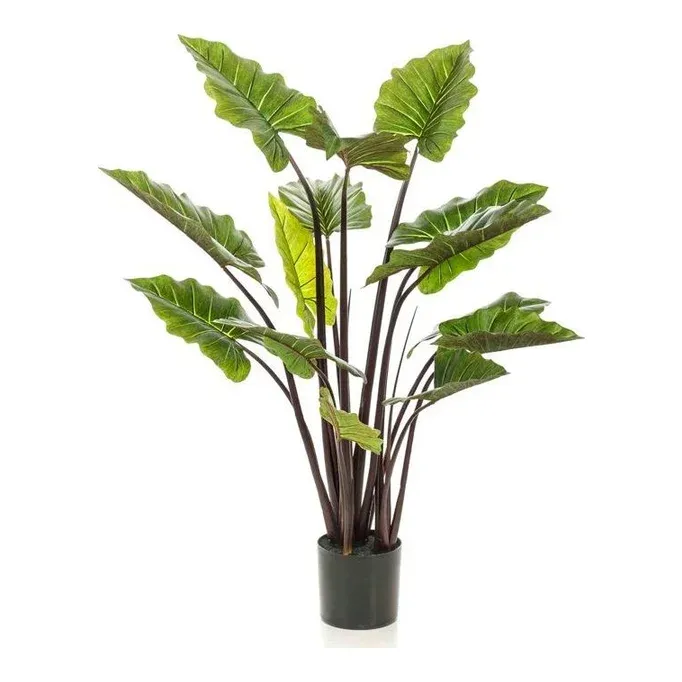 Kunstig elefantøre, Colocasia i potte, 130cm, grøn – Brøndsholm