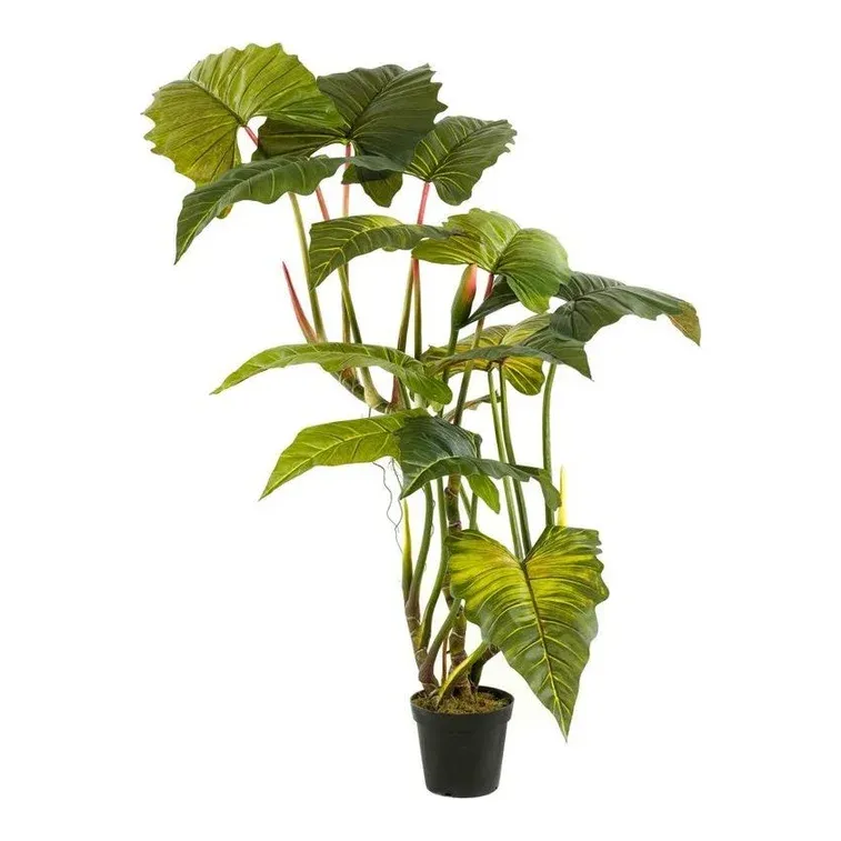 Kunstig Elefantøre Colocasia på stamme i potte 175cm grøn – Brøndsholm