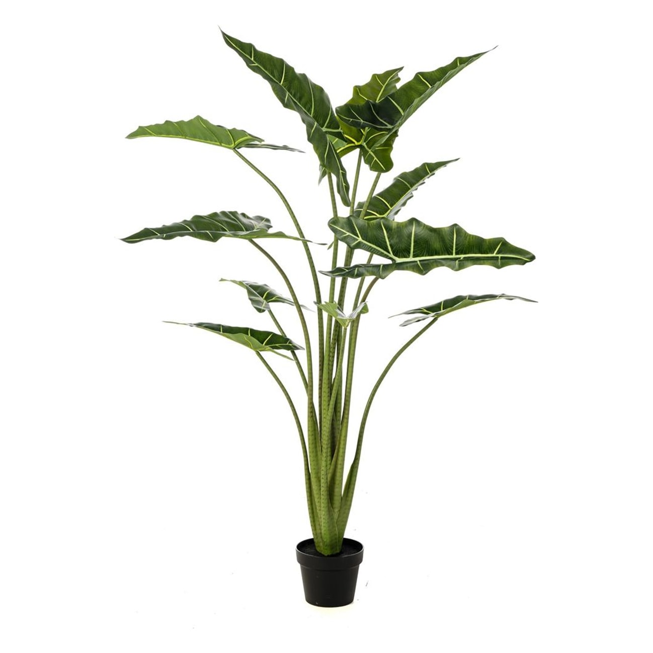 Elefantøre i potte Alocasia 140cm, kunstig plante - Brøndsholm