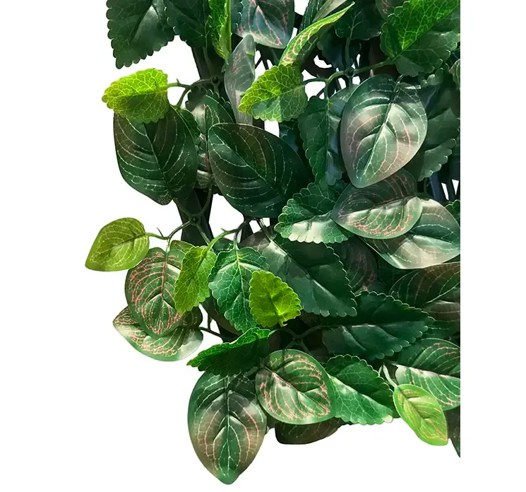 Espalier altanafskærmning af plast uv beskyttet closeup