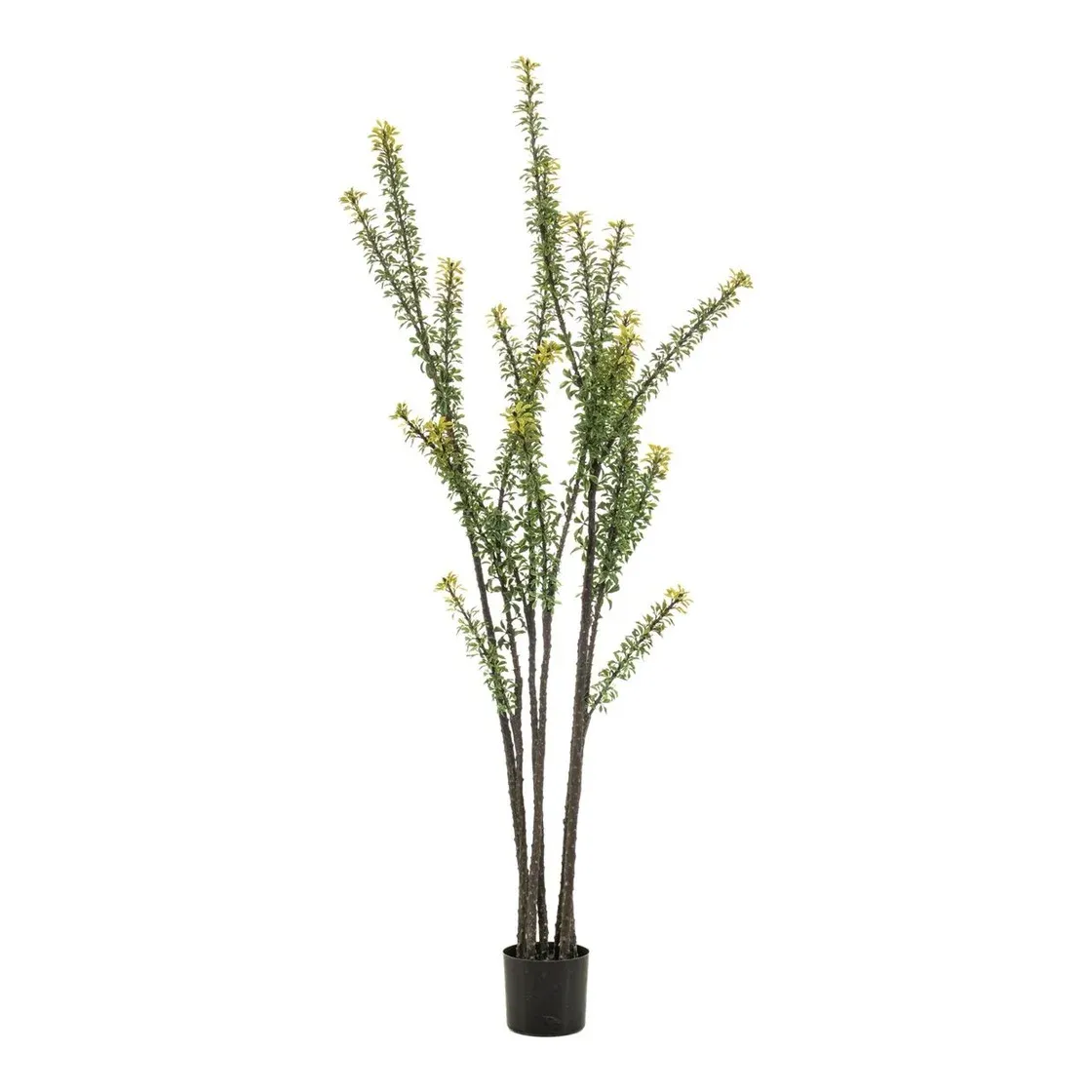 Euphorbia kaktus, 190cm, kunstig plante - Brøndsholm