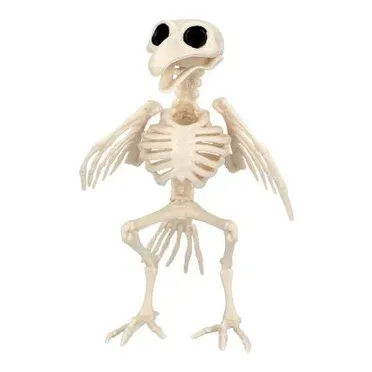 Fugle skelet af krage i plast, 18cm, til Halloween dekoration – Brøndsholm