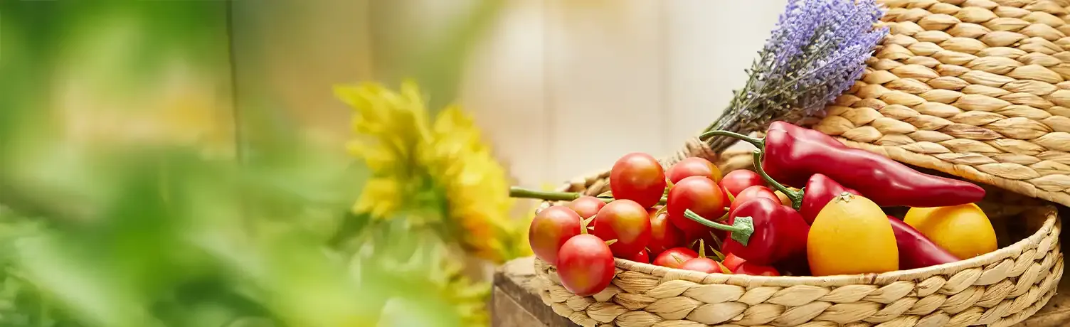 Brøndsholm - grønt afdeling - kunstige frugt og grønt