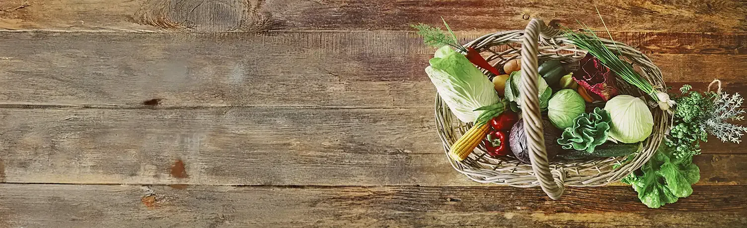 Brøndsholm - kunstige grøntsager