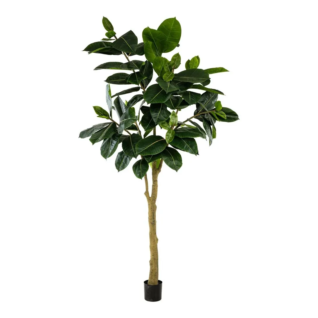 Gummitræ, Ficus elastica, 300cm, kunstig plante - Brøndsholm