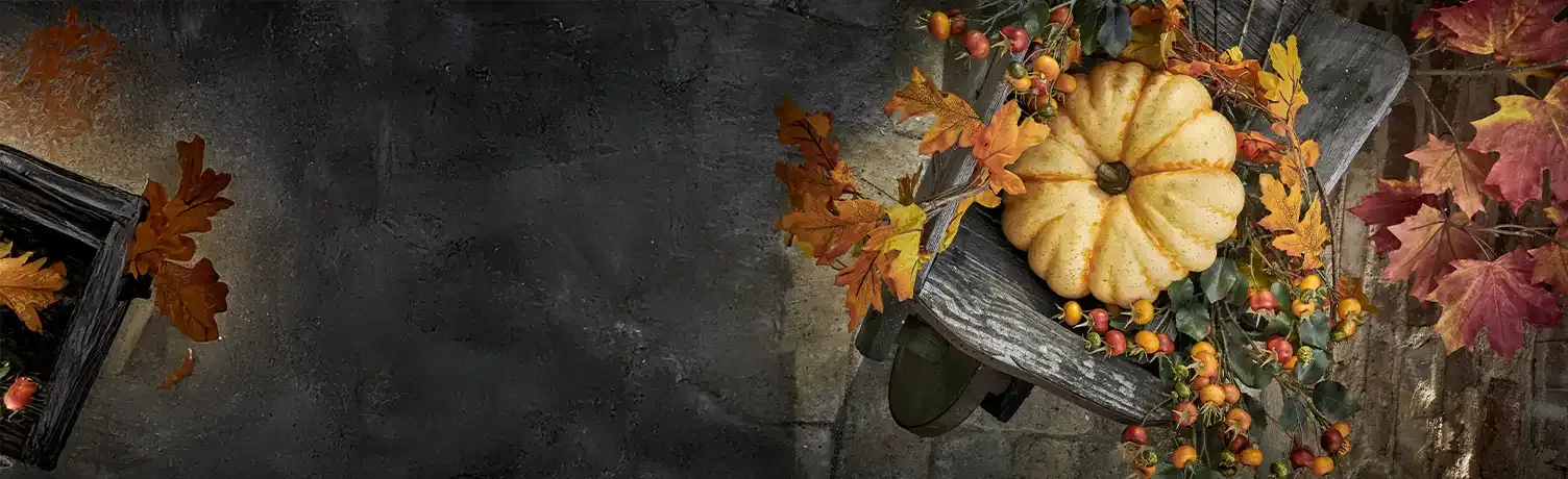 Brøndsholm - halloween