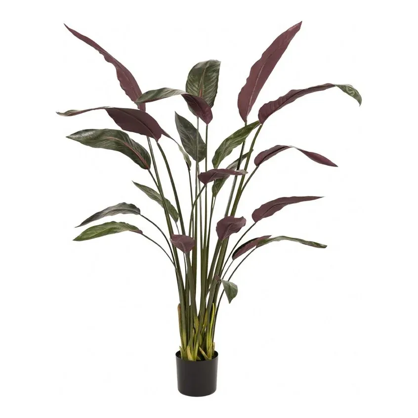 Heliconia palme, 150cm, grøn/bordeaux, kunstig plante - Brøndsholm