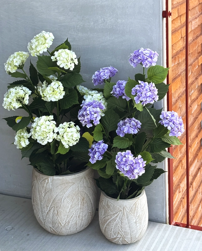 Brondsholm - Hvide hortensia i potte - UV-beskyttet