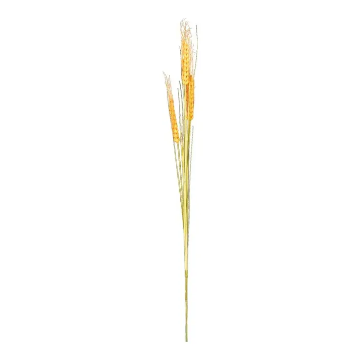 Guldfarvet hvedeaks 120cm i 3-delt udførelse – Brøndsholm