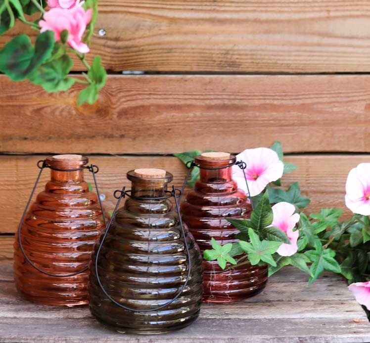 hvepsefangere i mørke farver