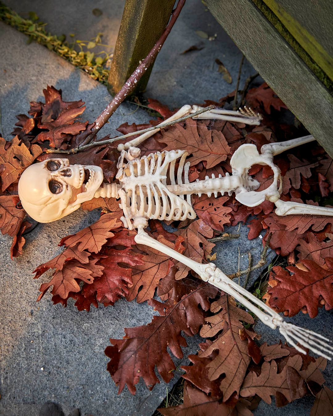 Når efterårsbladene falder, er det tid til at give haven lidt personlighed.🍂
Et lille skelet under stolen, et par stykker i træet og masser af efterårsstemning omkring dem. Det er ikke nødvendigvis det største pynt, der gør forskellen. Nogle gange er det de små overraskelser, man opdager på vej gennem haven.💀🦴
En (u)hyggelig måde at byde efteråret velkommen på.🎃
#brøndsholm #halloween #skelet #halloweenpynt #halloweendekoration #efterår #efterårsstemning #halloweeninspiration #halloweenihaven #halloweenvibes