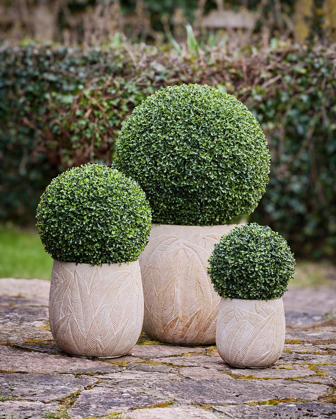 Kunstige buksbombolde med UV-beskyttelse der er pæne og grønne sommer efter sommer, uden at du skal gøre noget. Find den helt rigtige størrelse til din have eller terrasse.🍃

👉Find dem via link i bio

#brøndsholm #buksbom  #kunstigbuksbom #kunstigeplanter #haveinspiration #terrasseinspiration #udenvedligeholdelse #havedekoration #havesæson