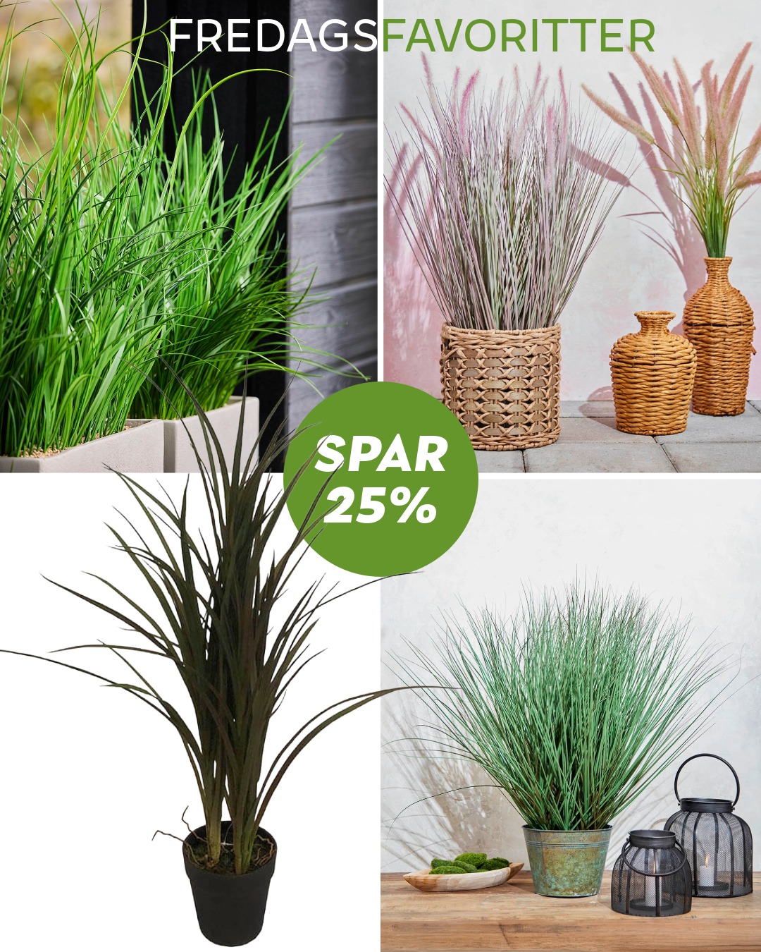 Denne uge fremhæver vi vores kunstige græs i potter🌿
Grøn ro til hjem, altan og terrasse.

🍃 Grønt uden besvær
☀ Flere græsser er UV-beskyttede
⌚ Rabatten gælder fra 12/6 t.o.m. 19/6-26
👉Find dit græs via link i bio

#brøndsholm #kunstiggræs #græs #græsipotter #udeliv #udelivudenbesvær #uvbeskyttet #udeplanter #haveinspiration #kunstigeplanter #fredagsfavorit