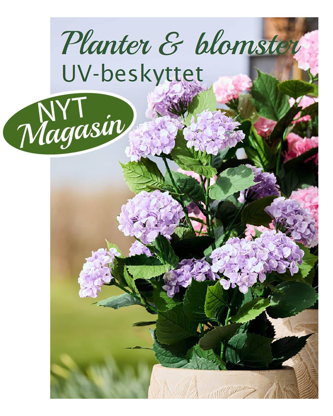 Vi er klar med nyt magasin, og friske nyheder til dit uderum. Vi begynder så småt at gøre klar til udelivet, og til det har vi et udvalg af flotte kunstige blomster og planter der er uv-beskyttede, og de kræver ingen vand.🌿🌸

#brøndsholm #kunstigeplanter #udeplanter #kunstigeblomster #udeliv #uvbeskyttelse