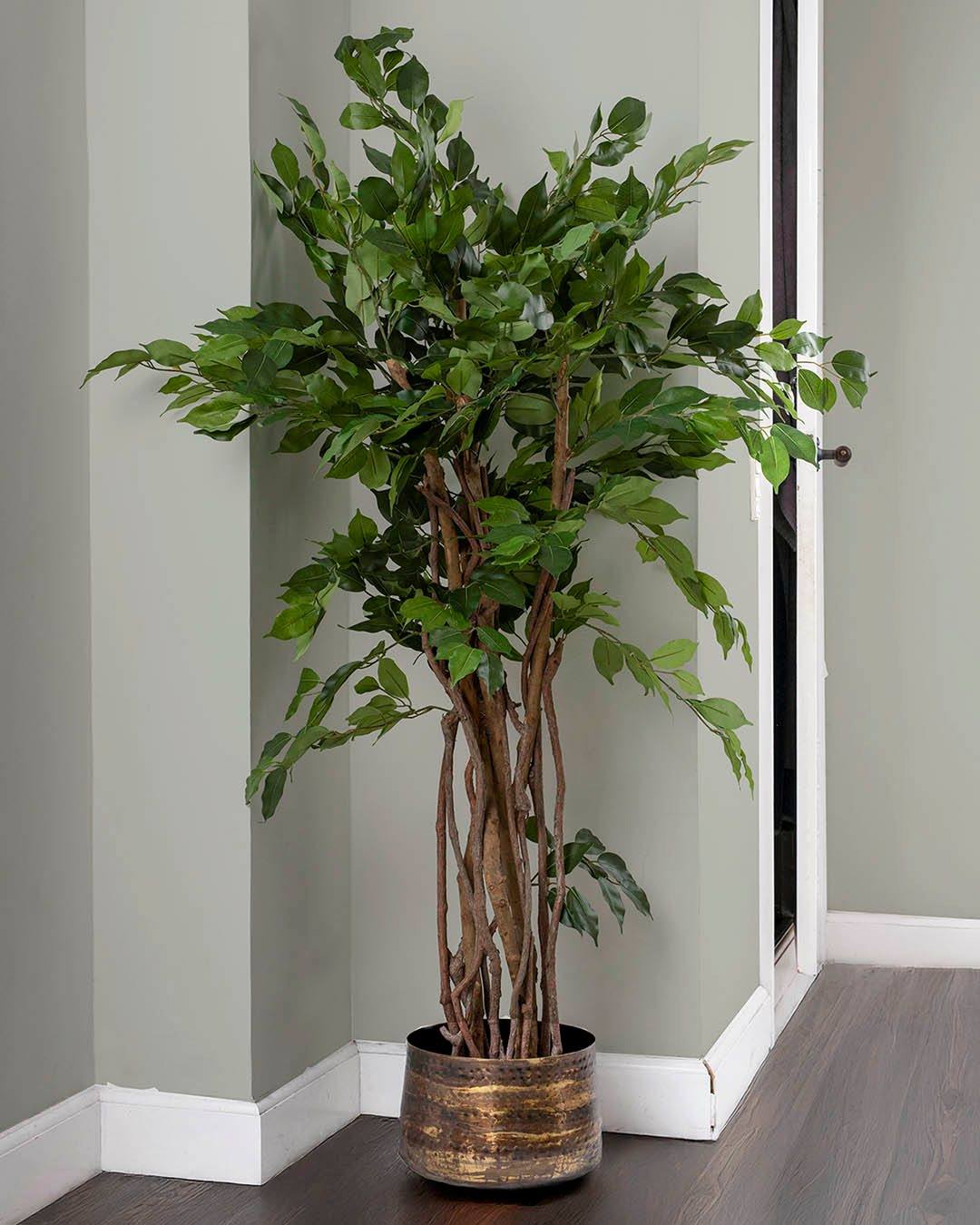 En kunstig stuebirk giver et naturligt udtryk uden at kræve noget særligt, den står bare fint, uanset om den får sol eller ej. Med sine mange blade og rolige form passer den ind de fleste steder i hjemmet. Stuebirken fås i to størrelser.🌿

#brøndsholm #kunstigeplanter #stuebirk #kunstigestoreplanter #grønneplanter #kunstigegrønneplanter #planteliv #naturtroplanter