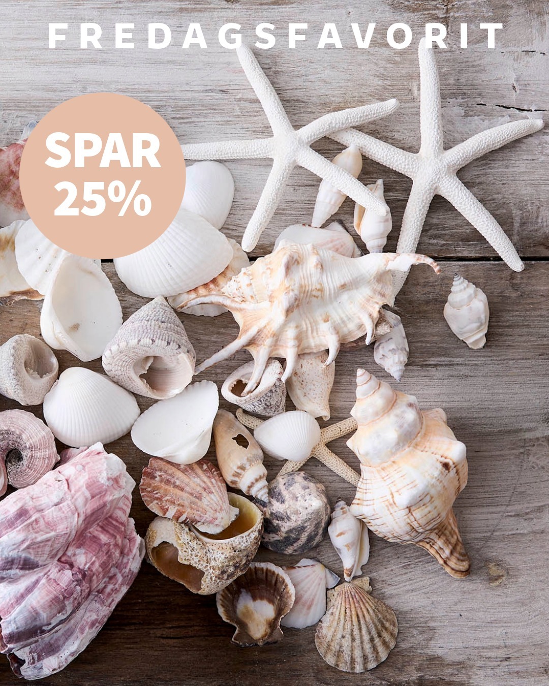 Strandskaller er fredagsfavoritten denne uge, og de skaber ægte sommerstemning, både fra naturen og i smukke kunstige udgaver. Et lille strejf af havet i hjemmet 🐚

🐚 Flere størrelser og varianter
💧 Perfekt til maritim stemning
⌚ Rabatten gælder fra 22/5 t.o.m. 29/5-26

👉Find dine strandskaller via link i bio 

#brøndsholm #strandskaller #muslingskaller #maritimpynt #sommerpynt #sommerstemning #strandpynt #fredagsfavorit