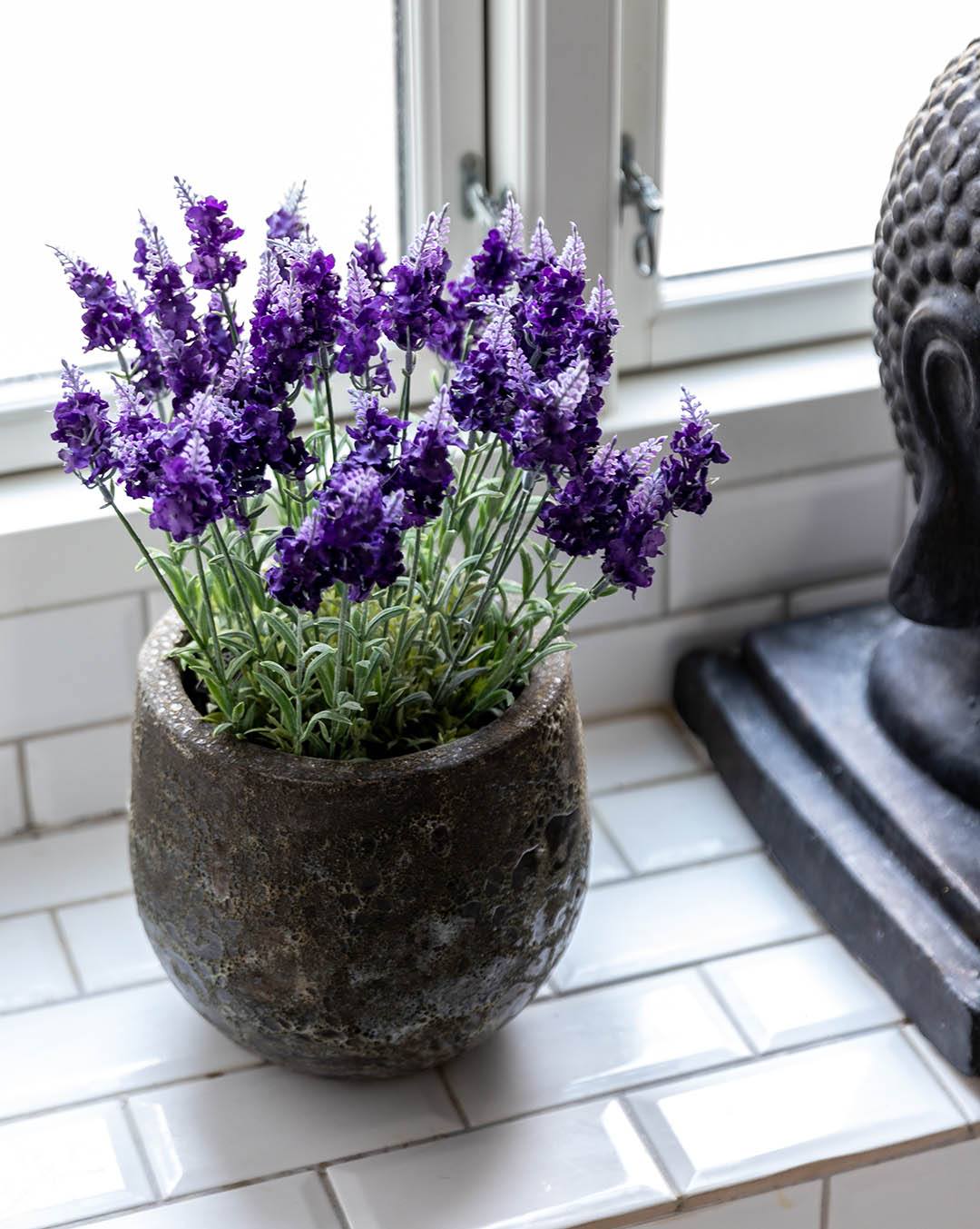 Nogle gange er det de små detaljer, der gør forskellen.💜
En kunstig lavendel i krukke tilfører et roligt og naturligt udtryk til hjemmet. Smuk året rundt og altid klar til at skabe lidt ekstra hygge i hverdagen.

Hvad er dit yndlingssted at pynte med lavendel?

#brøndsholm #lavendel #kunstigeblomster #indretning #boliginspiration #hyggeligehjem #kunstiglavendel #lillablomster
