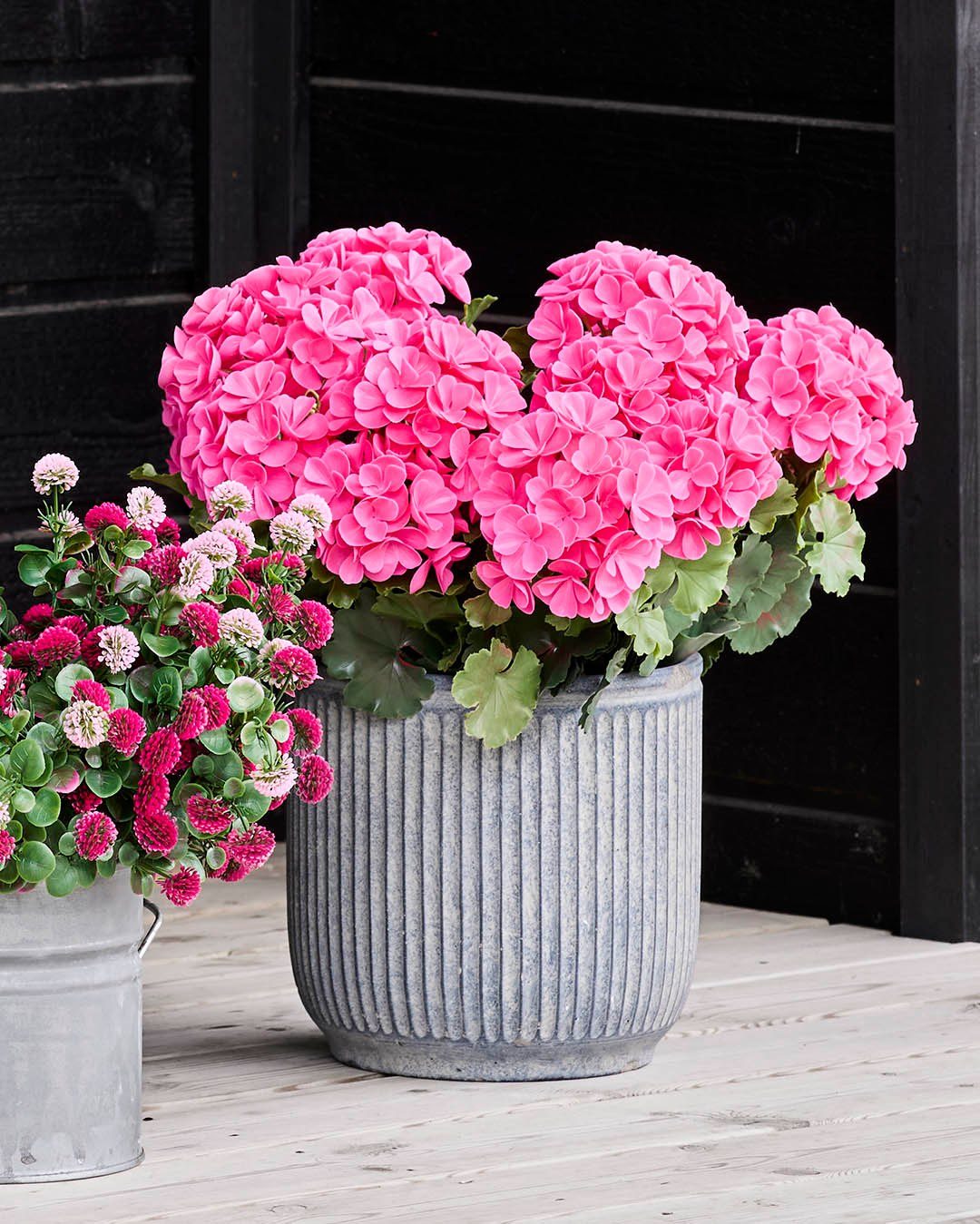 Lange sommeraftener, kolde drinks og blomster, der altid ser fantastiske ud.
Vores kunstige pelargonie buket tilfører farve og sommerstemning til dit uderum, så du kan bruge tiden på at nyde sommeren i stedet for at passe planterne. 🌺

#brøndsholm #kunstigeblomster #pelargonie #Sommerstemning #TerrasseInspiration #Udeliv #BoligInspiration #udeblomster