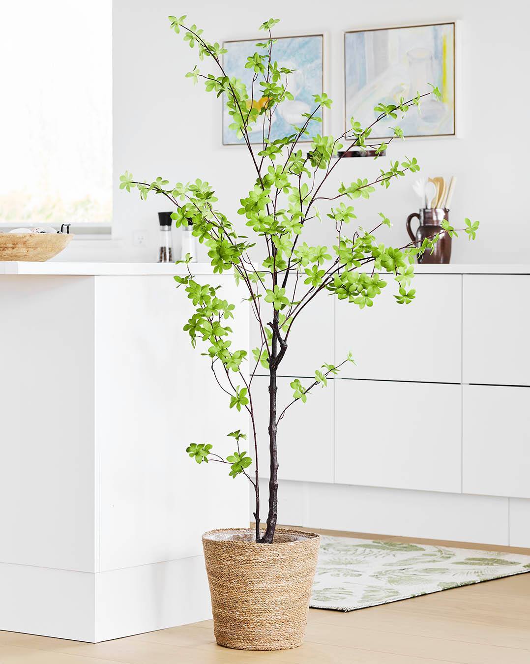 🌿 S P A R 🌿 25 % 🌿
Skab et let og luftigt look med et kunstigt tropaeolum speciosum træ. Perfekt til den minimalistiske indretning, hvor grønne elementer må fylde, uden at virke tunge. Sæt det f.eks. i en fin flettet kurv🌿

#brøndsholm #kunstigplante #kunstigtræ #kunstigegrønneplanter #grønneplanter