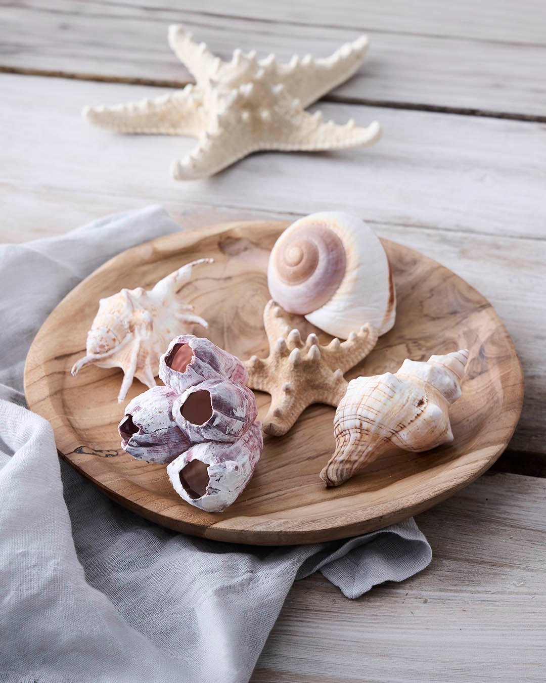 Regn udenfor - sommer indenfor 🌧️🐚
Strandskaller i net, der bringer minder om strand, sol og hav 🌊
5 små detaljer, der skaber stor sommerstemning 🐚
👉 Gem til hyggelige sommeridéer

#brøndsholm #sommerstemning #strandskaller #muslingskaller #maritim #maritimdecor #sommertips #strandpynt #homedeco #sommerpynt #indretningstips