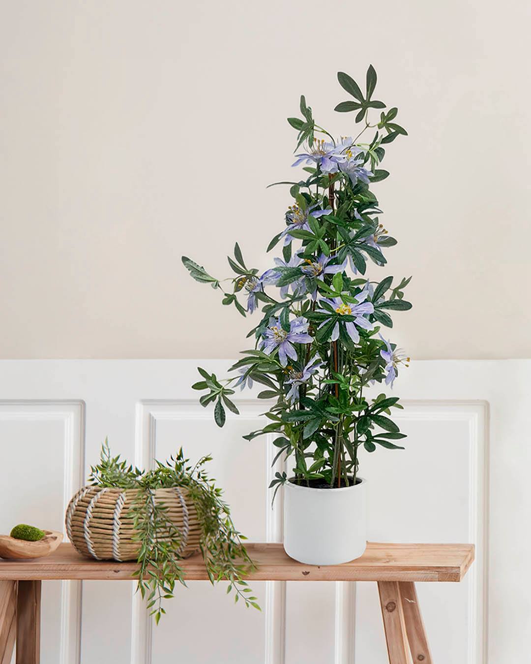 Tilføj et strejf af farve med denne fine passionsblomst i din stue. De lilla blomster og grønne blade gør den nem at style, den kommer i en fin hvid plastpotte, hvilket er en nem måde at give dit hjem lidt ekstra liv og farve💜

#brøndsholm #kunstigeblomster #passionsblomst #grønneplanter #lillablomst #evighedsblomster #stueblomster #nyttilhjemmet