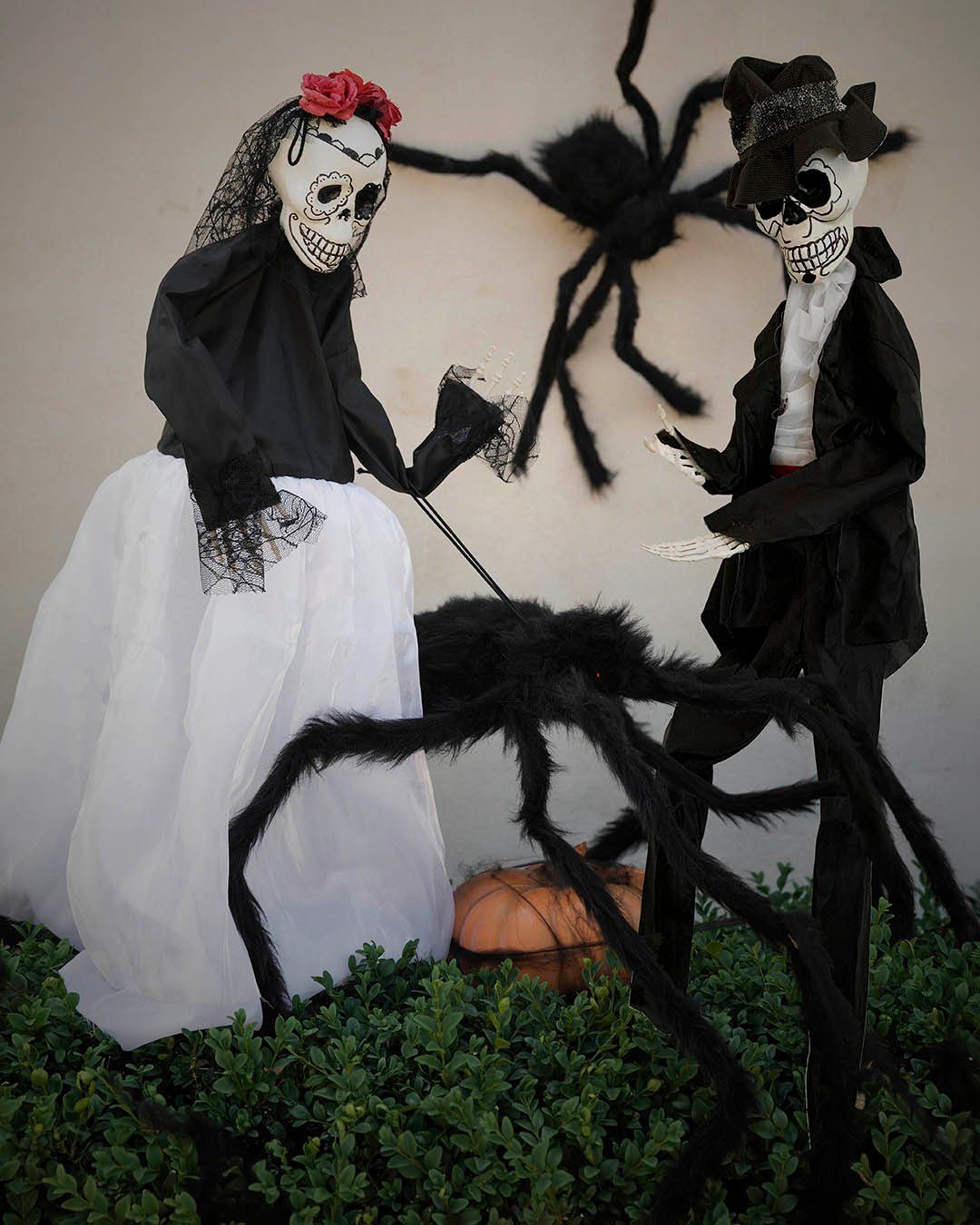 🕷️ Når man har været sammen så længe, at selv døden ikke kan skille én ad... Og så skal man selvfølgelig også sammen klare et par kæmpe edderkopper. 🎃

Halloween behøver ikke være uhyggeligt hele tiden. Det må også gerne være lidt skørt og få naboerne til at trække på smilebåndet.

Hvad siger du? Havens sejeste brudepar eller lidt for meget? 😄

#brondsholm #skelet #skeletpar #brudepar #edderkop #halloween #halloweendekoration #halloweeninspiration #halloweenpynt #spookyseason #halloween2026