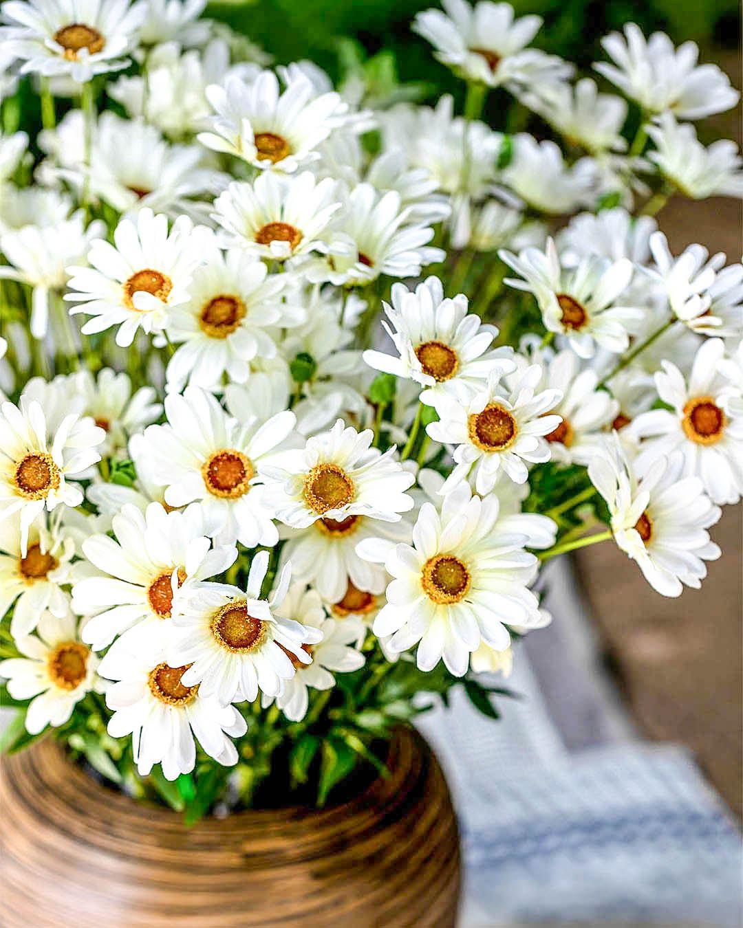 Dansk sommer i en vild buket 🤍
Kunstige margueritter med et let og naturligt udtryk, inspireret af sol, marker og lange sommerdage🌿

#brøndsholm #kunstigeblomster #marguerit #kunstigmarguerit #sommerstemning #sommerblomster #vildeblomster #markblomster #hvideblomster