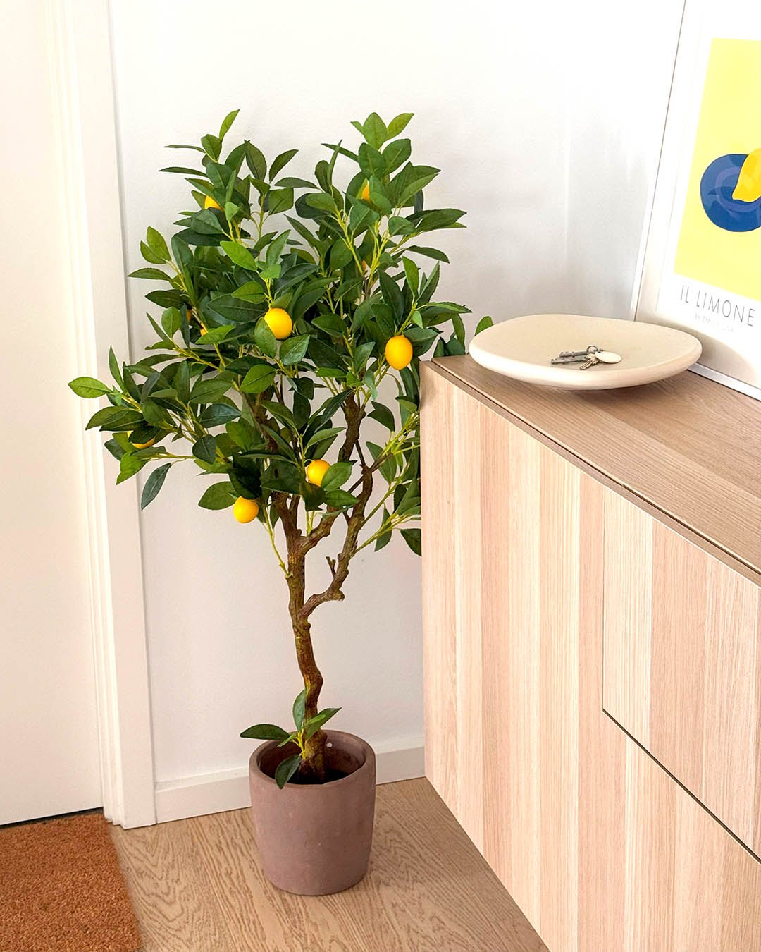 I dag er det Plant a Lemon Tree Day🍋… og vi fejrer det på den nemme (og ret flotte) måde, med et citrontræ, der aldrig visner, smukt og dekorativt🌿

#brøndsholm #kunstigetræer #kunstigeplanter #citrontræ #kunstigcitrontræ #plantalemontreeday