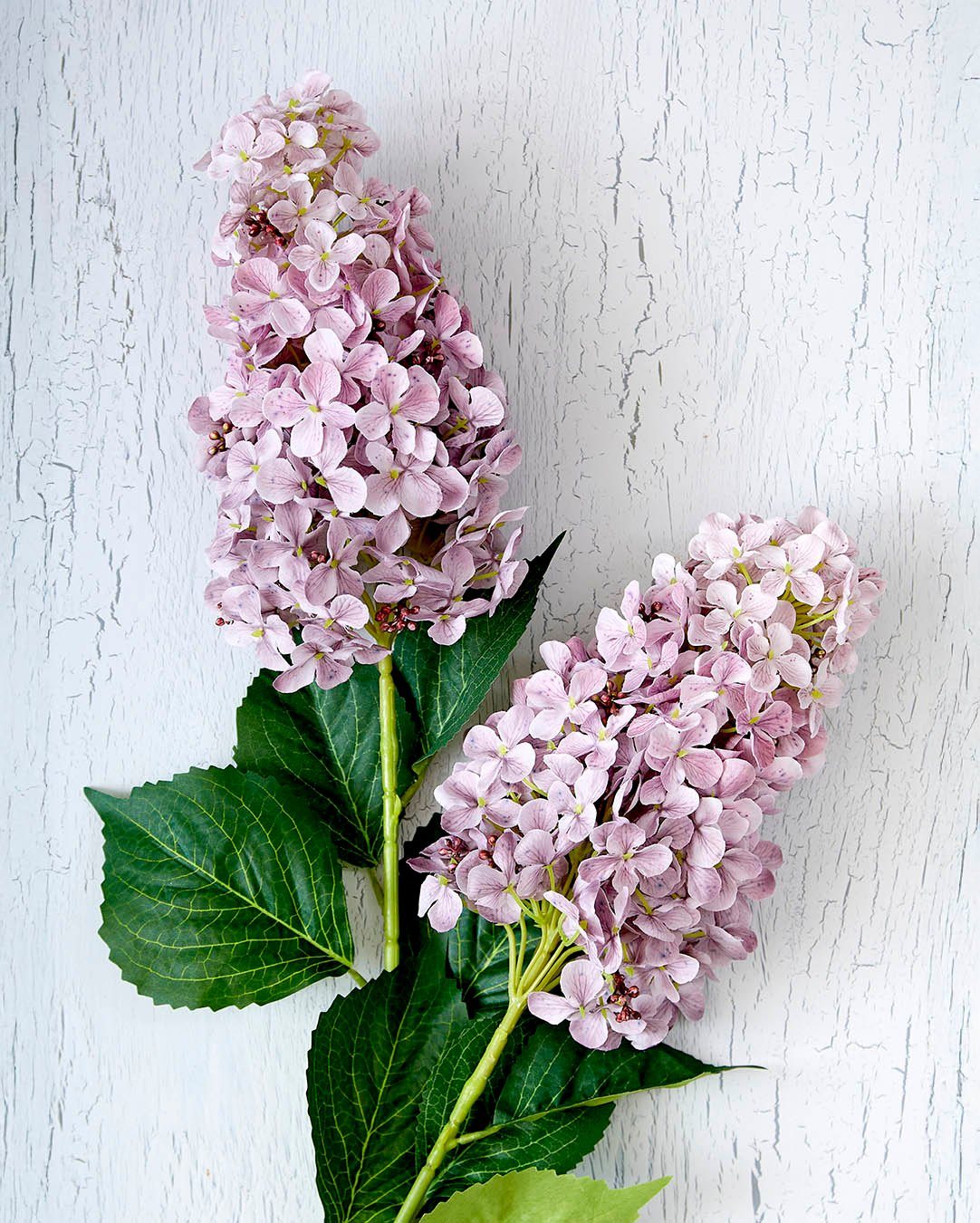 Har du set vores naturtro syrenhortensia i en skøn lavendelfarve? Den er enkel og dekorativ i sig selv, men passer også godt sammen med andre af vores kunstige blomster i en buket 💜

#brøndsholm #syrenhortensia #kunstigeblomster #evighedsbuket #lavendel