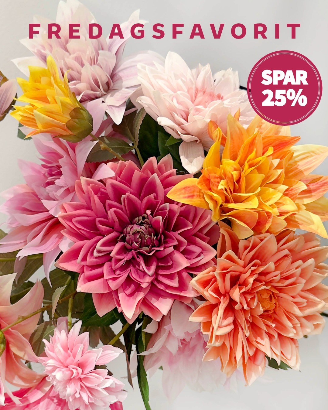 🌸 Fredagsfavorit: Dahlia
Dahliaer er perfekte til at skabe en fyldig og farverig buket. Det bedste? Du kan nyde dem år efter år uden at tænke på vanding eller visne blade. 💐
🌸 Masser af fylde og smukke farver
✨ Holder sig flotte år efter år
⌚ Rabatten gælder fra 21/8 t.o.m. 28/8-26
👉 Køb dem via linket i bio
#brøndsholm #dahlia #kunstigdahlia #kunstigeblomster #sommerblomster #blomsterinspiration #farverigeblomster #evighedsblomster