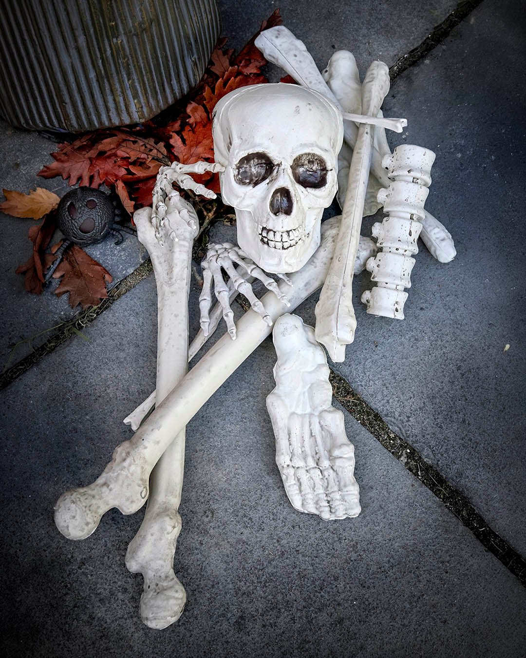 🦴🎃 Halloween er lige om hjørnet...

Lad kranier, knogler og skeletdele snige sig ind mellem græskar, lanterner og spindelvæv, og skab den helt rette Halloween-stemning derhjemme. 👻

Det er de små detaljer, der gør dekorationen ekstra uhyggelig. 🕸️✨

#brøndsholm #halloween #halloweenpynt #skelet #kranie #efterår #halloweenvibes #uhygge