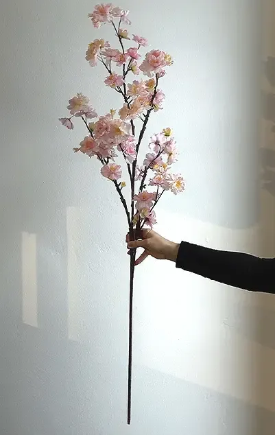 Brøndsholm - kirsebærgren, 120cm