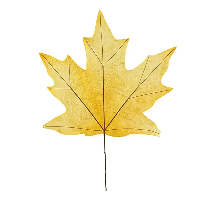 Kunstig ahorn blad af papir i gul