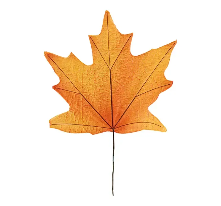 Kunstig ahorn blad af papir i orange