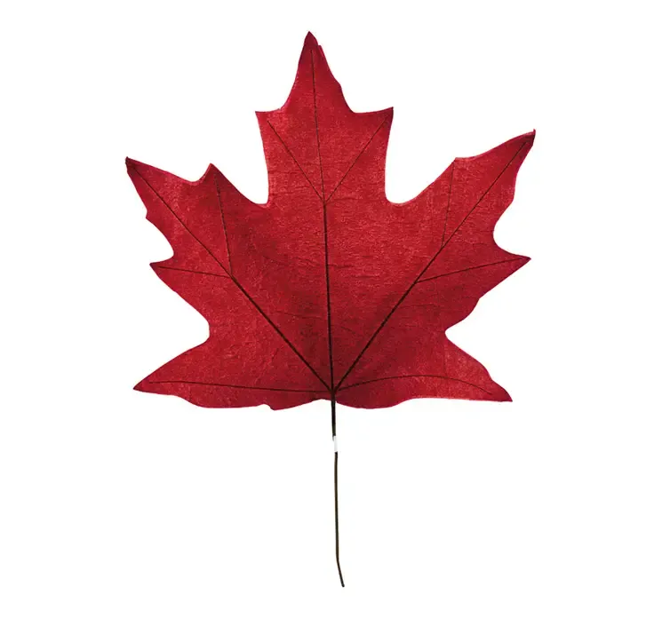 Kunstig ahorn blad af papir i rød
