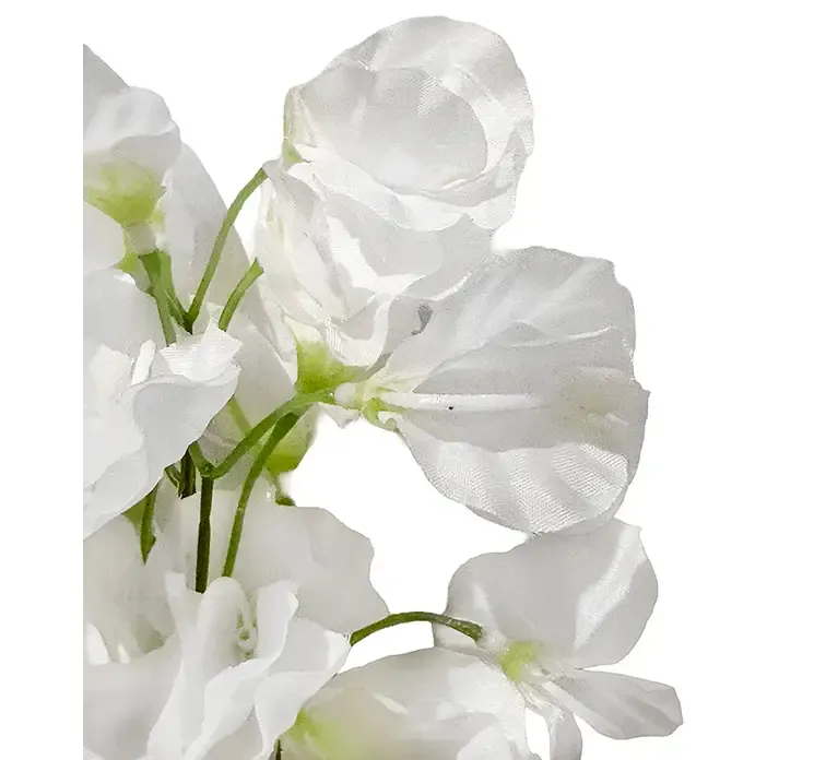 Kunstig ærteblomst også kaldet lathyrus i hvid af plast closeup